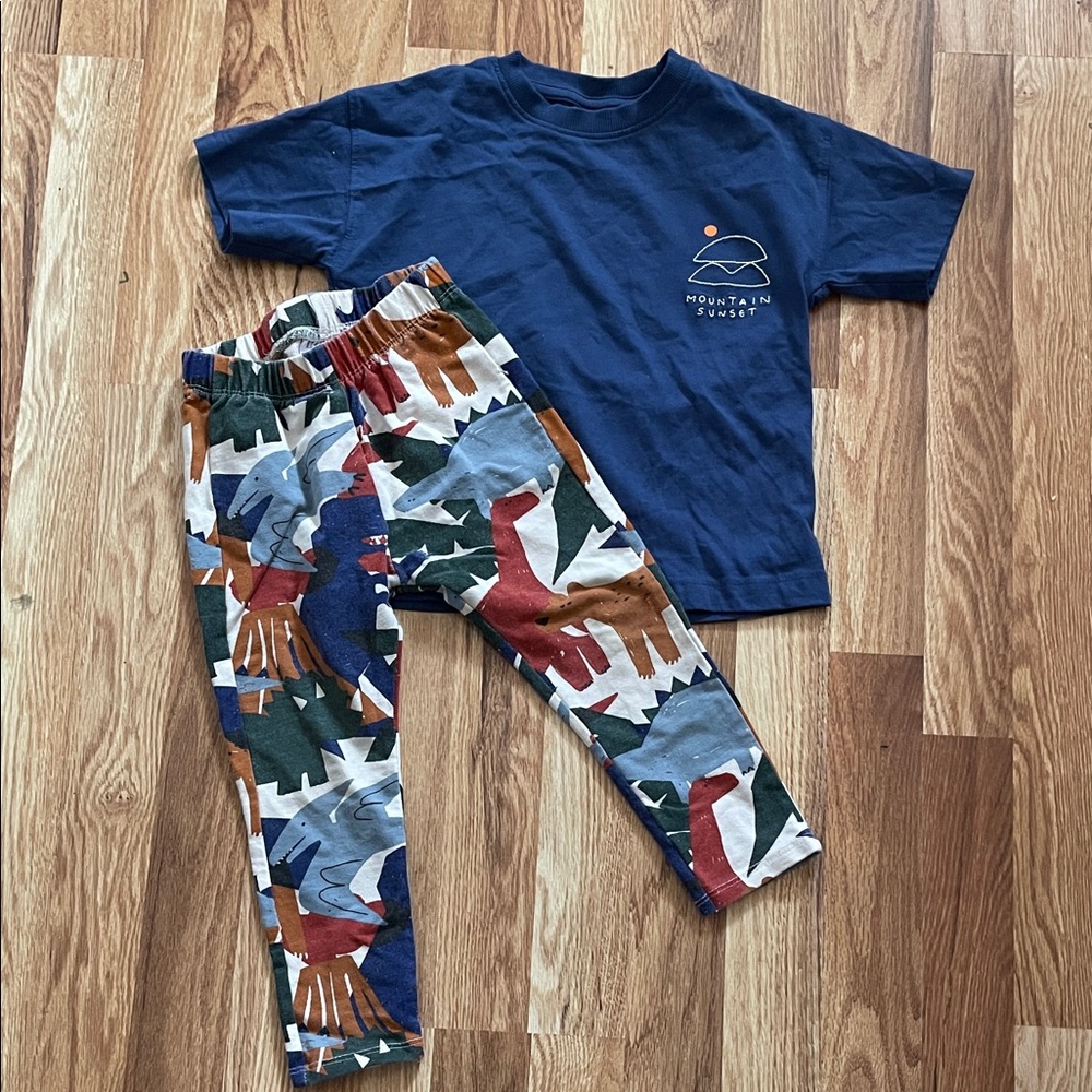 Zara Dinosaur Mountain Sunset Outfit Leggings